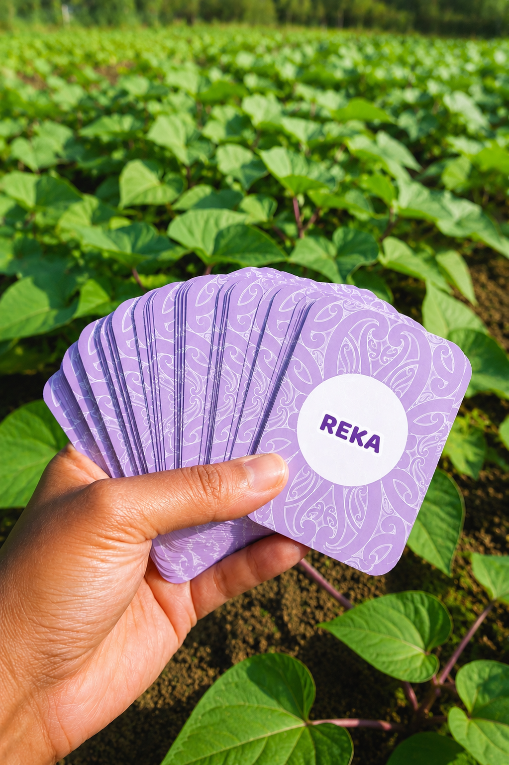 Reka cardgame